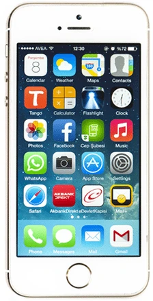 iPhone 5s Repair Services